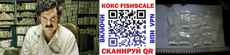 наркотики  blacksprut вход  Cocaine FishScale  Эртиль 