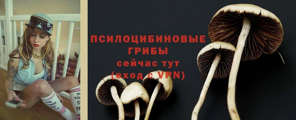 герыч Нея