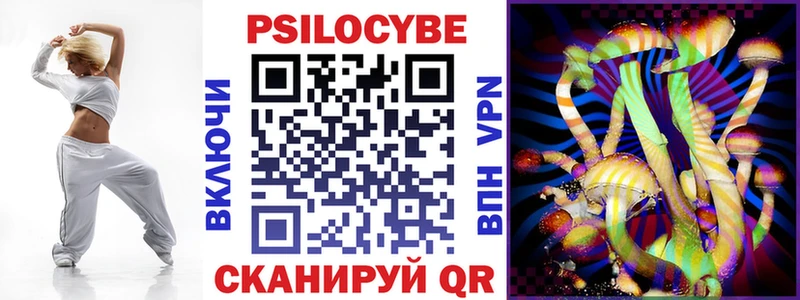 магазин  наркотиков  Эртиль  kraken вход  Псилоцибиновые грибы Magic Shrooms 